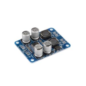TPA3118 PBTL – Module Amplificateur Audio Numérique Mono 60W